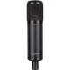 Se Electronics SE2300 Geniş Diyaframlı Multi Patern Kondenser Mikrofon 2