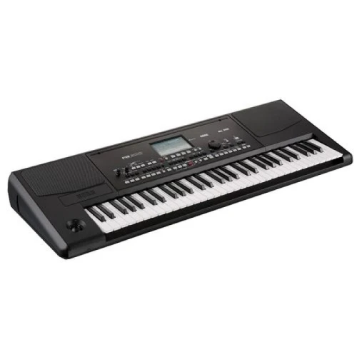 Korg PA300 Ritimli Klavye 1