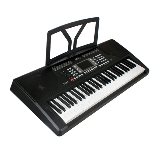 Lichtenberg DM-1 61 Tuşlu Org 5