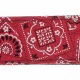 PLANETWAVES 50G02 GİTAR ASKISI, 50MM, KIRMIZI BANDANA 2