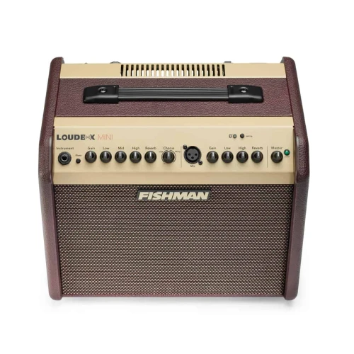 Fishman Loudbox Mini Bluetooth Akustik Amfi 2
