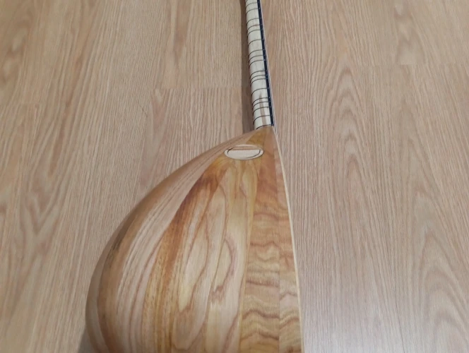 40 TEKNE DUT AĞACI KISA SAP ORTA ÜSTÜ KALİTE BAĞLAMA 5