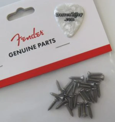 Fender Road Worn Pickguard/Control Plate Screws 24 Gitar Yedek Parça 2