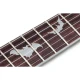 Schecter Damien Platinum-6 Elektro Gitar (Mat Siyah) 5