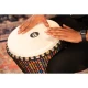 Meinl PADJ2-XL-F Travel Series 14" Djembe (Kenyan) 6