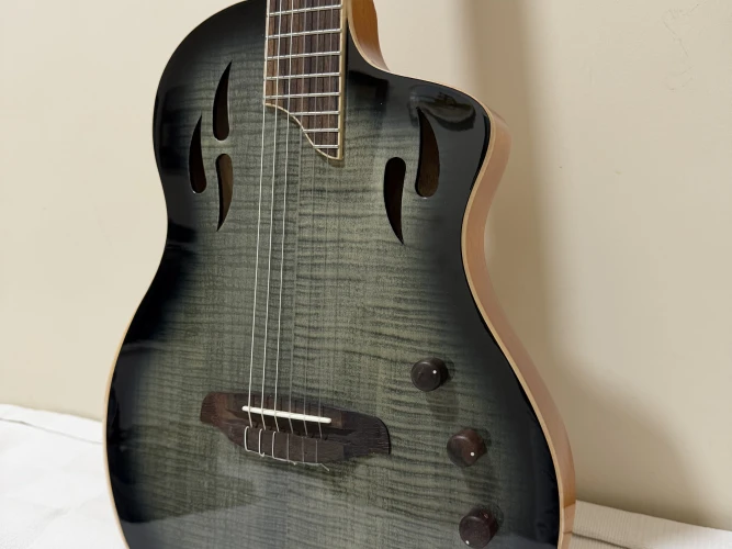 Ortega RTPG LS1 4