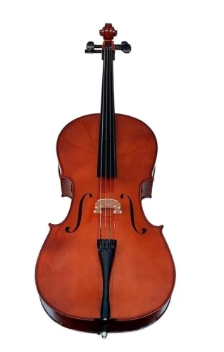 VALENCIA CE160G44MAT CELLO, GERMAN STYLE, 4/4, MAT 1