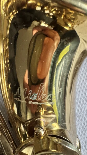 Midex SF-8000 Gold Profesyonel Alto Saksafon Çanta ve Aksesuar 3