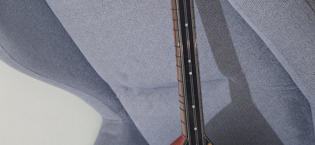 Paduk Kısa Sap Profesyonel Bağlama 4