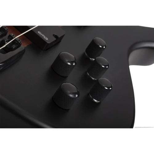 Schecter Charles Berthoud CB Series 5 Telli Bas Gitar (See Thru Black Satin) 5