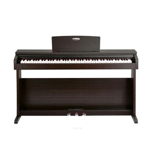 Pearl River V-03 Dijital Piyano (Gül Ağacı) 1