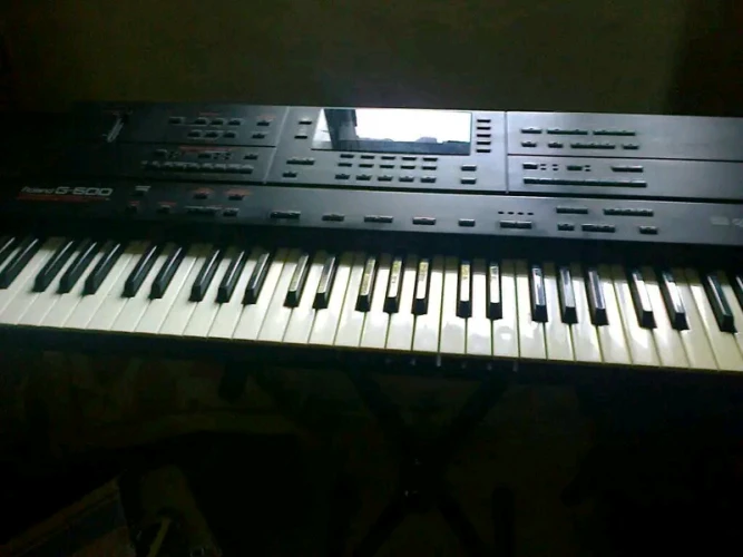 ORG ROLAND G600 1