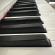 Arsenberg adp1955w 7