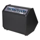 Flanger ED-35 Elektrik Davul Amfisi - 30W 4