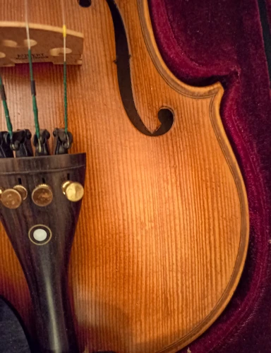 DOMİNGUEZ PROFESYONEL KEMAN 4/4 (DVPG44-P1) 2