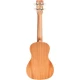 Cordoba 15CM Matiz Concert Ukulele (Mint) 2