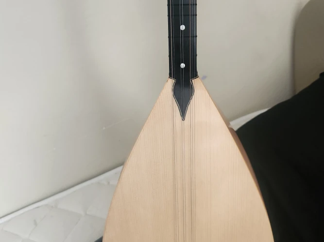 Özel yapım profesyonel uzun sap bağlama 2