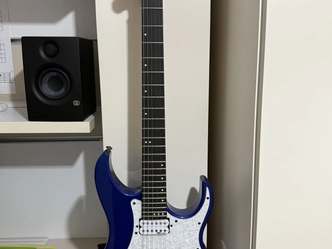 Schecter BANSHEE-6 SGR 1