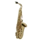 Roy Benson AS-202 Alto Saksafon 3