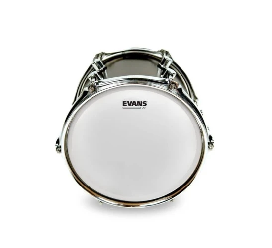 EVANS B08UV1 8" DERİ TOM VE TRAMPET KUMLU BEYAZ TEK KAT 5