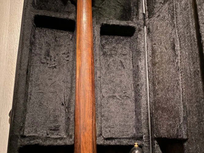 Corvette proline 5 5