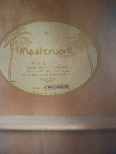 Masterwork MWA4000CE Elektro akustik gitar ve amfi 3
