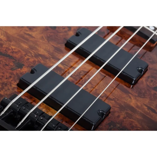 Schecter C-4 Standard Bas Gitar (Tobacco Burl) 5