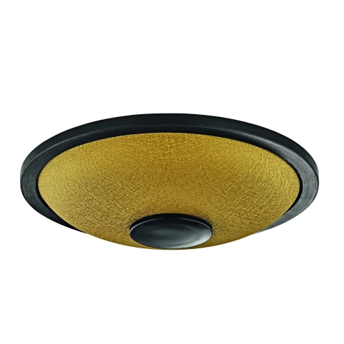 Meinl Sonic Energy 7" Small Steel Tongue Drum (C Minor, 8 Notes, 440 Hz, Gold) 2