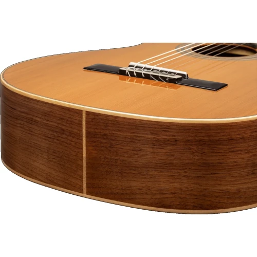 Ortega R20GSNWN Traditional Klasik Gitar (Natural) 6