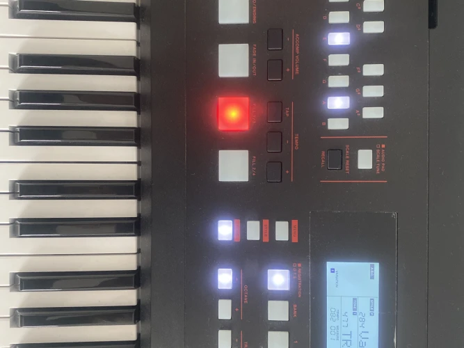 roland E-x50 org 1