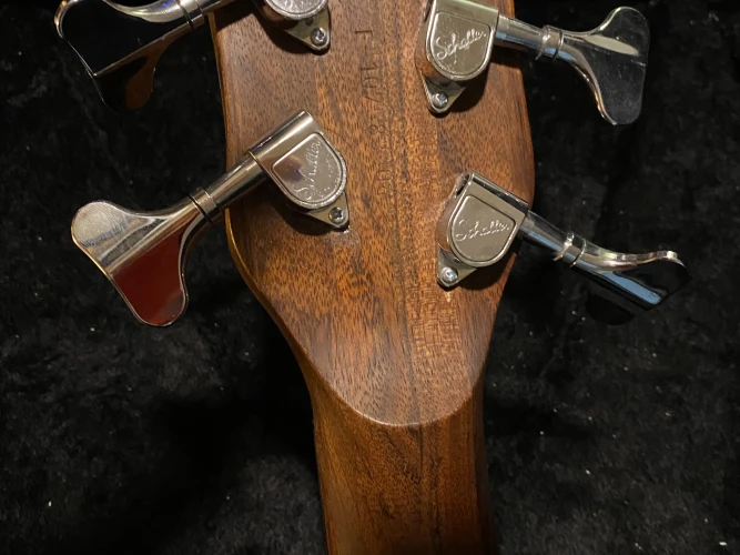 Corvette proline 5 7