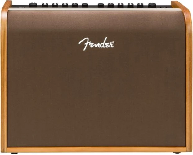 Fender Acoustic 100 UK Akustik Gitar Amfisi 2