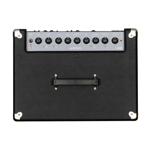 Blackstar Unity Bass U250 Kombo Bas Gitar Amfi 2