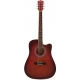 Washburn WA90CRDB Akustik Gitar 1