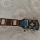 washburn wd210seb elektroakustik gitar 6