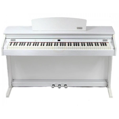 Artesia DP-3-SR  - Dijital Piyano 2