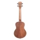 Kala Teak Tenor Ukulele 3