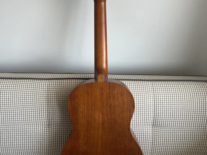 Valencia VC204 klasik gitar 2