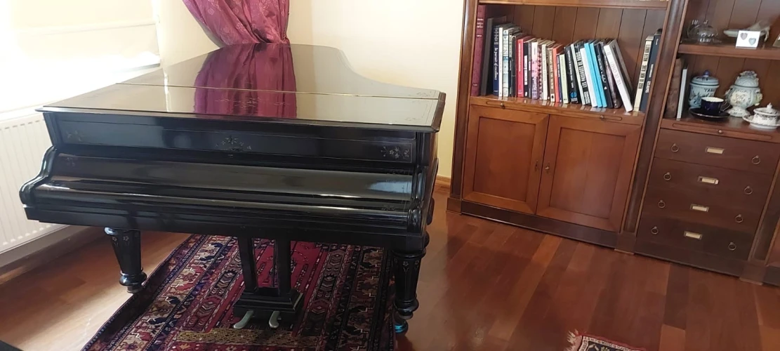 Steinway Kuyruklu Piano 7