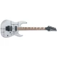 IBANEZ RG420EG-ISL Elektro Gitar 1