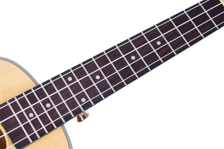 Tayste TUK210-24 Concert Ukulele 3