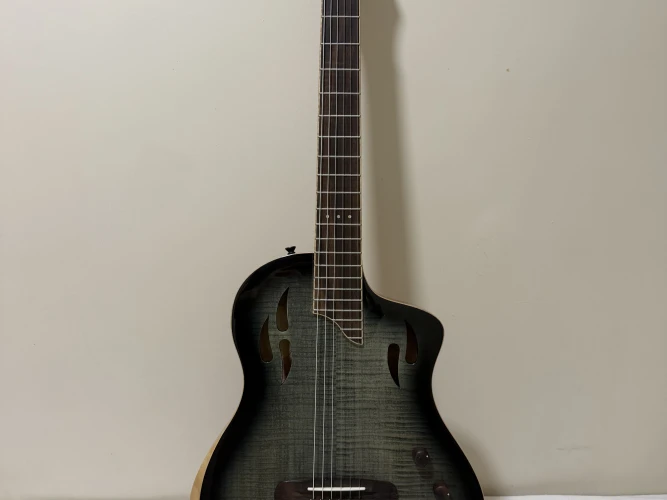 Ortega RTPG LS1 1