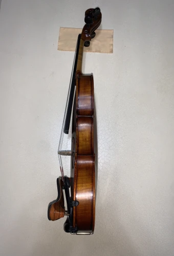 profesyonel keman Stentor Verona 5