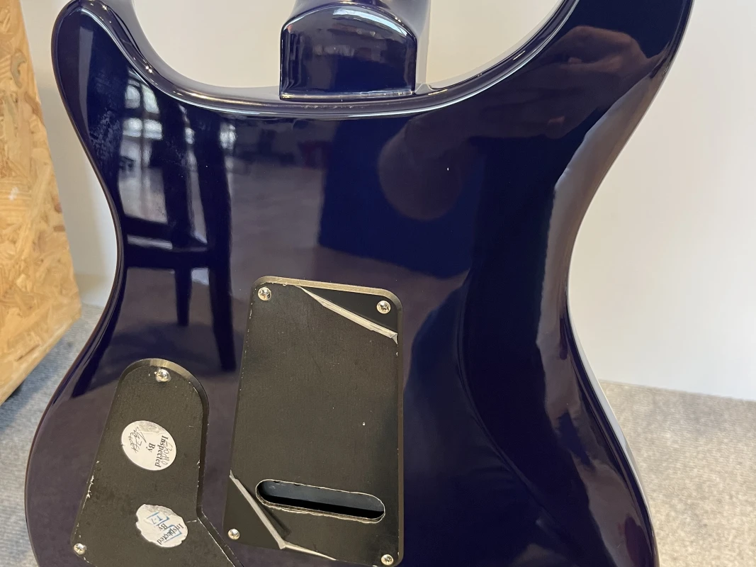 PRS SE Standart 24 Elektro Gitar 6