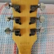 Schecter Solo II SGR 4