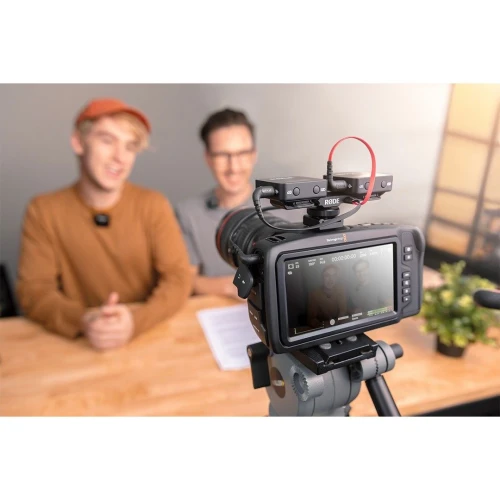 RODE SC11 TRS Y-Splitter Kablo 2