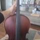 palmer çello 3