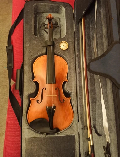 Stentor Arcadia 4/4 Profesyonel Keman 3