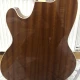 Ibanez TCY10E-IVH Talman Serisi Elektro Akustik Gitar 5