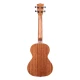 Kala KA-TG Maun Tenor Ukulele 2